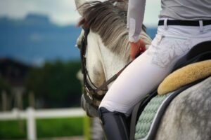 horse riding lessons
